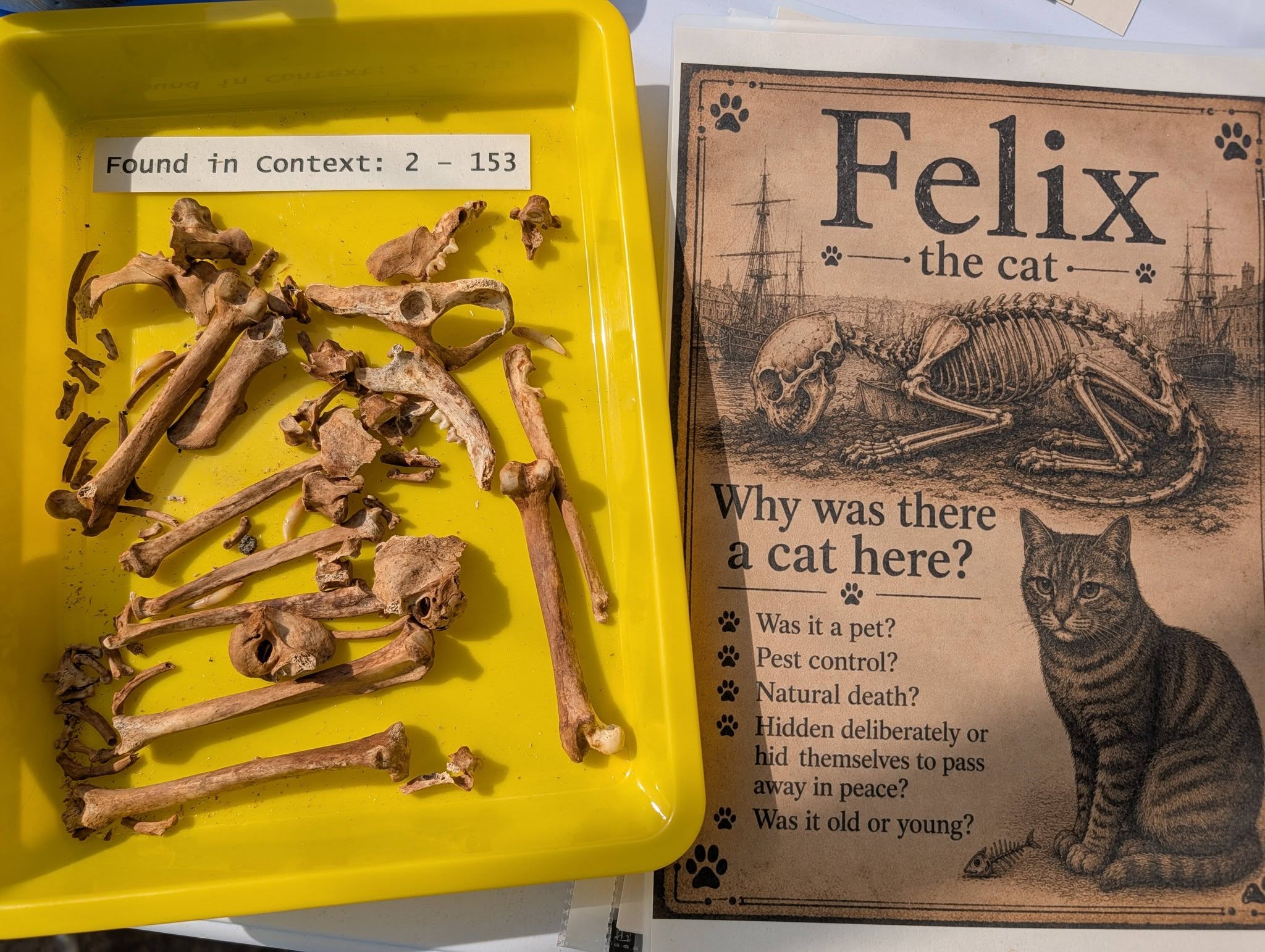 C1 Archaeology Open Day